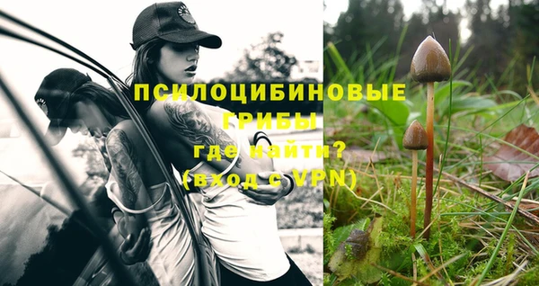 мдпв Куйбышев
