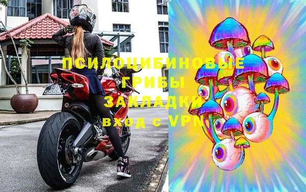 твердый Кукмор