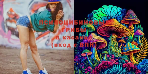 твердый Кукмор